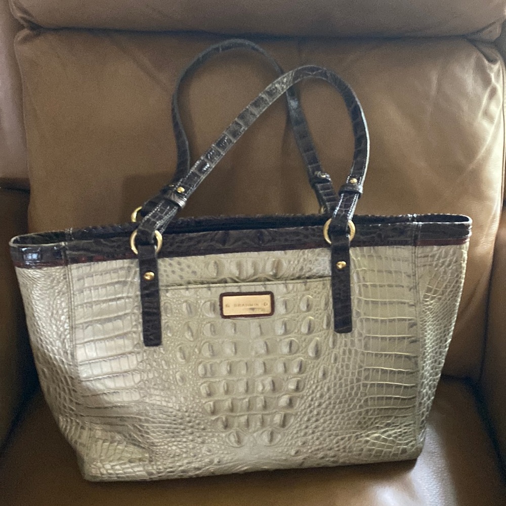 EUC metallic Brahmin